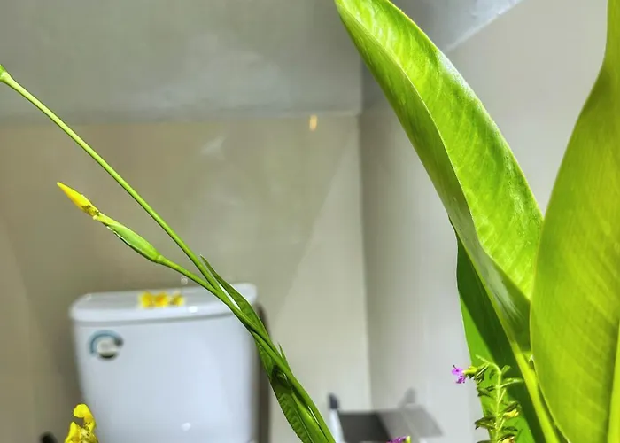 Utu 3, - Bali -private Pool Вилла *